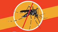 8 dengue patients die, 1,100 hospitalized in 24hrs